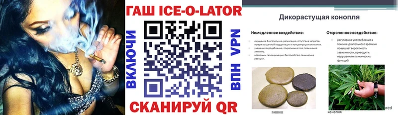 ГАШ Ice-O-Lator  купить  цена  OMG маркетплейс  Шарыпово 