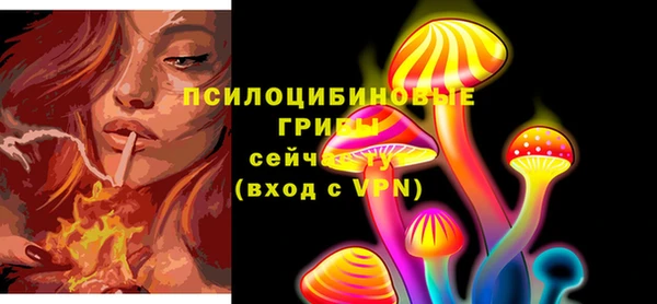 кокс Белокуриха
