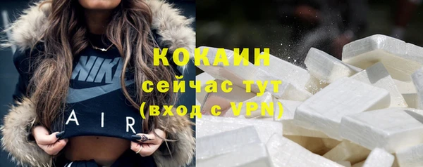 ПСИЛОЦИБИНОВЫЕ ГРИБЫ Белоозёрский