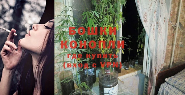 кокс Белокуриха