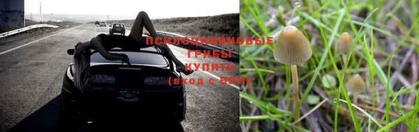 кокс Белокуриха