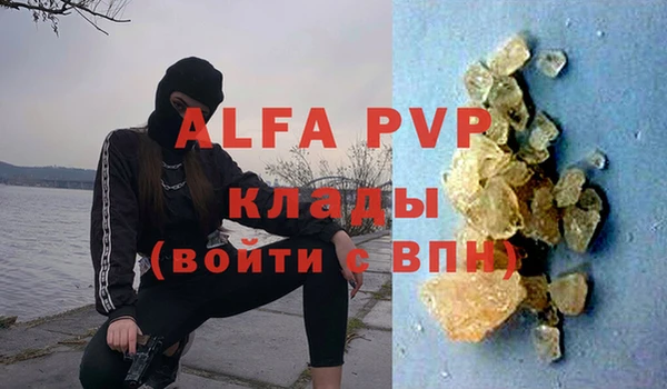 ПСИЛОЦИБИНОВЫЕ ГРИБЫ Белоозёрский