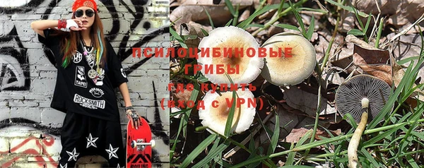 кокс Белокуриха